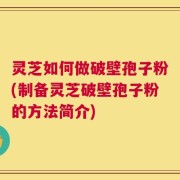 灵芝如何做破壁孢子粉(制备灵芝破壁孢子粉的方法简介)