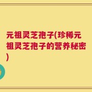 元祖灵芝孢子(珍稀元祖灵芝孢子的营养秘密)