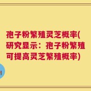 孢子粉繁殖灵芝概率(研究显示：孢子粉繁殖可提高灵芝繁殖概率)
