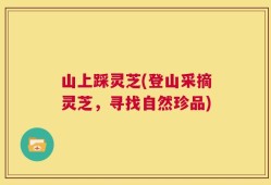 山上踩灵芝(登山采摘灵芝，寻找自然珍品)