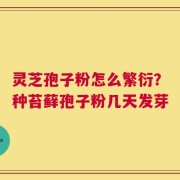灵芝孢子粉怎么繁衍？种苔藓孢子粉几天发芽