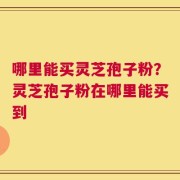 哪里能买灵芝孢子粉？灵芝孢子粉在哪里能买到