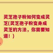 灵芝孢子粉如何变成灵芝(灵芝孢子粉变身成灵芝的方法，你需要知道！)