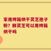 家用烤箱烘干灵芝孢子粉？鲜灵芝可以用烤箱烘干吗