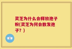 灵芝为什么会释放孢子粉(灵芝为何会散发孢子？)