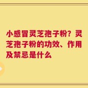 小感冒灵芝孢子粉？灵芝孢子粉的功效、作用及禁忌是什么
