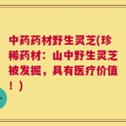 中药药材野生灵芝(珍稀药材：山中野生灵芝被发掘，具有医疗价值！)