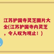 江苏护国寺灵芝图片大全(江苏护国寺内灵芝，令人叹为观止！)