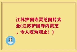 江苏护国寺灵芝图片大全(江苏护国寺内灵芝，令人叹为观止！)
