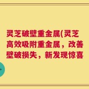 灵芝破壁重金属(灵芝高效吸附重金属，改善壁破损失，新发现惊喜