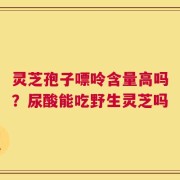 灵芝孢子嘌呤含量高吗？尿酸能吃野生灵芝吗