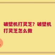 破壁机打灵芝？破壁机打灵芝怎么做