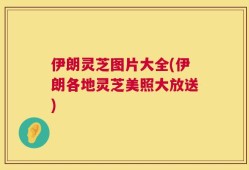 伊朗灵芝图片大全(伊朗各地灵芝美照大放送)