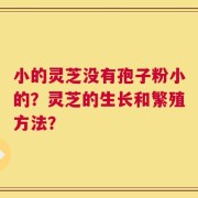 小的灵芝没有孢子粉小的？灵芝的生长和繁殖方法？