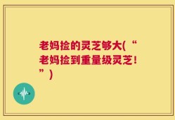 老妈捡的灵芝够大(“老妈捡到重量级灵芝！”)