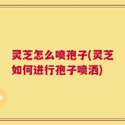 灵芝怎么喷孢子(灵芝如何进行孢子喷洒)