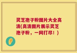 灵芝孢子粉图片大全高清(高清图片展示灵芝孢子粉，一网打尽！)