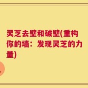 灵芝去壁和破壁(重构你的墙：发现灵芝的力量)