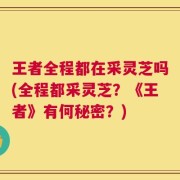 王者全程都在采灵芝吗(全程都采灵芝？《王者》有何秘密？)