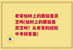 老家枯树上的蘑菇是灵芝吗(枯树上的蘑菇是灵芝吗？从老家的经验中寻找答案)