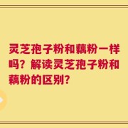灵芝孢子粉和藕粉一样吗？解读灵芝孢子粉和藕粉的区别？