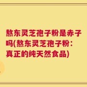熬东灵芝孢子粉是赤子吗(熬东灵芝孢子粉：真正的纯天然食品)