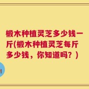 椴木种植灵芝多少钱一斤(椴木种植灵芝每斤多少钱，你知道吗？)