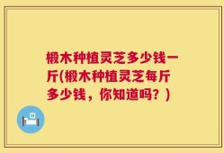 椴木种植灵芝多少钱一斤(椴木种植灵芝每斤多少钱，你知道吗？)