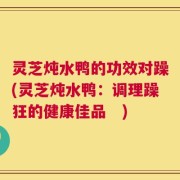 灵芝炖水鸭的功效对躁(灵芝炖水鸭：调理躁狂的健康佳品　)