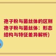 孢子粉与菌丝体的区别孢子粉与菌丝体：形态结构与特征差异解析)