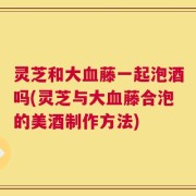 灵芝和大血藤一起泡酒吗(灵芝与大血藤合泡的美酒制作方法)