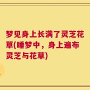梦见身上长满了灵芝花草(睡梦中，身上遍布灵芝与花草)