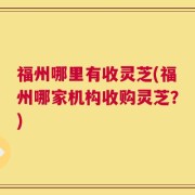 福州哪里有收灵芝(福州哪家机构收购灵芝？)