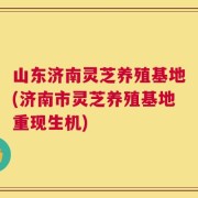 山东济南灵芝养殖基地(济南市灵芝养殖基地重现生机)