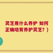 灵芝用什么养护 如何正确培育养护灵芝？)