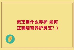 灵芝用什么养护 如何正确培育养护灵芝？)