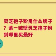 灵芝孢子粉用什么牌子？紫一破壁灵芝孢子粉到哪里买最好