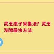 灵芝孢子采集法？灵芝发酵最快方法
