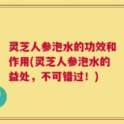 灵芝人参泡水的功效和作用(灵芝人参泡水的益处，不可错过！)