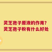 灵芝孢子原液的作用？灵芝孢子粉有什么好处