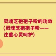 灵魂芝孢孢子粉的功效(灵魂芝孢孢子粉——注重心灵呵护)