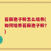 苔藓孢子粉怎么培养(如何培养苔藓孢子粉？)