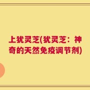 上犹灵芝(犹灵芝：神奇的天然免疫调节剂)