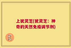 上犹灵芝(犹灵芝：神奇的天然免疫调节剂)