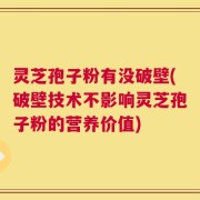灵芝孢子粉有没破壁(破壁技术不影响灵芝孢子粉的营养价值)
