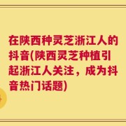 在陕西种灵芝浙江人的抖音(陕西灵芝种植引起浙江人关注，成为抖音热门话题)