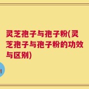灵芝孢子与孢子粉(灵芝孢子与孢子粉的功效与区别)