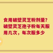 食用破壁灵芝粉剂量？破壁灵芝孢子粉每天服用几次，每次服多少