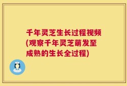千年灵芝生长过程视频(观察千年灵芝萌发至成熟的生长全过程)