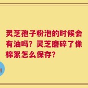 灵芝孢子粉泡的时候会有油吗？灵芝磨碎了像棉絮怎么保存？